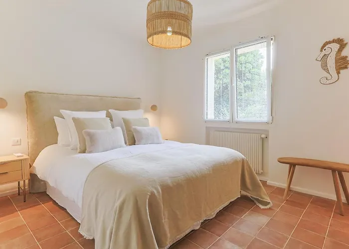 Du Petit * 생트막시메