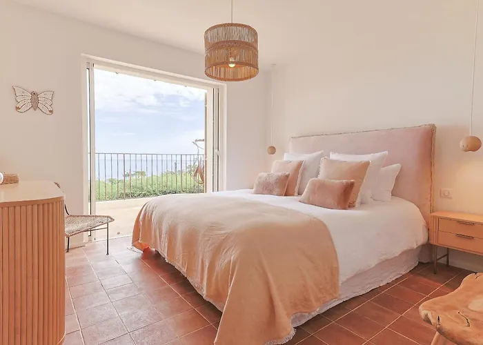 Du Petit Sainte-Maxime